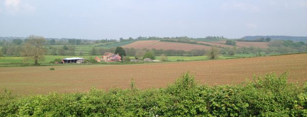View from the hospital of farmland